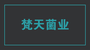 食品行业镇江润州区工作服设计款式